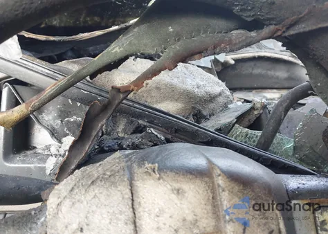 2009 Dodge Ram 1500 Slt/Sport/Trx z USA, uszkodzony, nr VIN 1D3HV18T89S755737